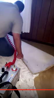 Actisol Treatment for Carpenter Ants