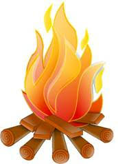 storing firewood for maximum pest prevention