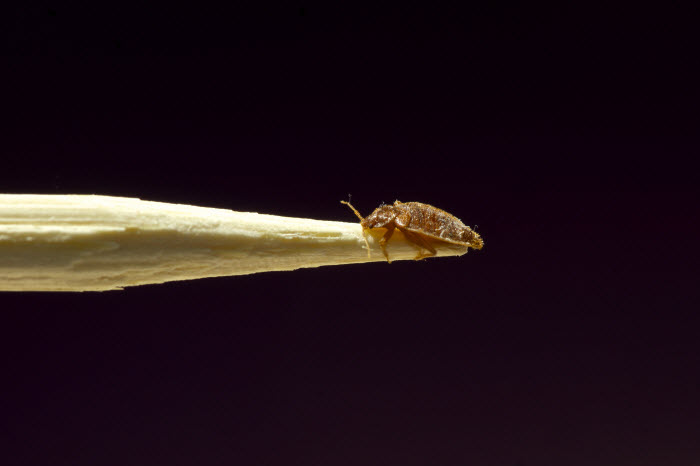 Post banner banner_img_url