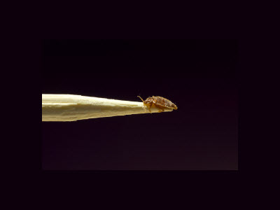 Post banner banner_img_url