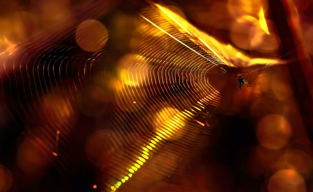 Post banner banner_img_url