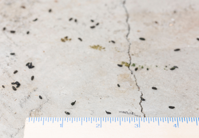 Post banner banner_img_url